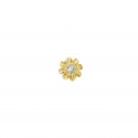 Paquerette Diamant