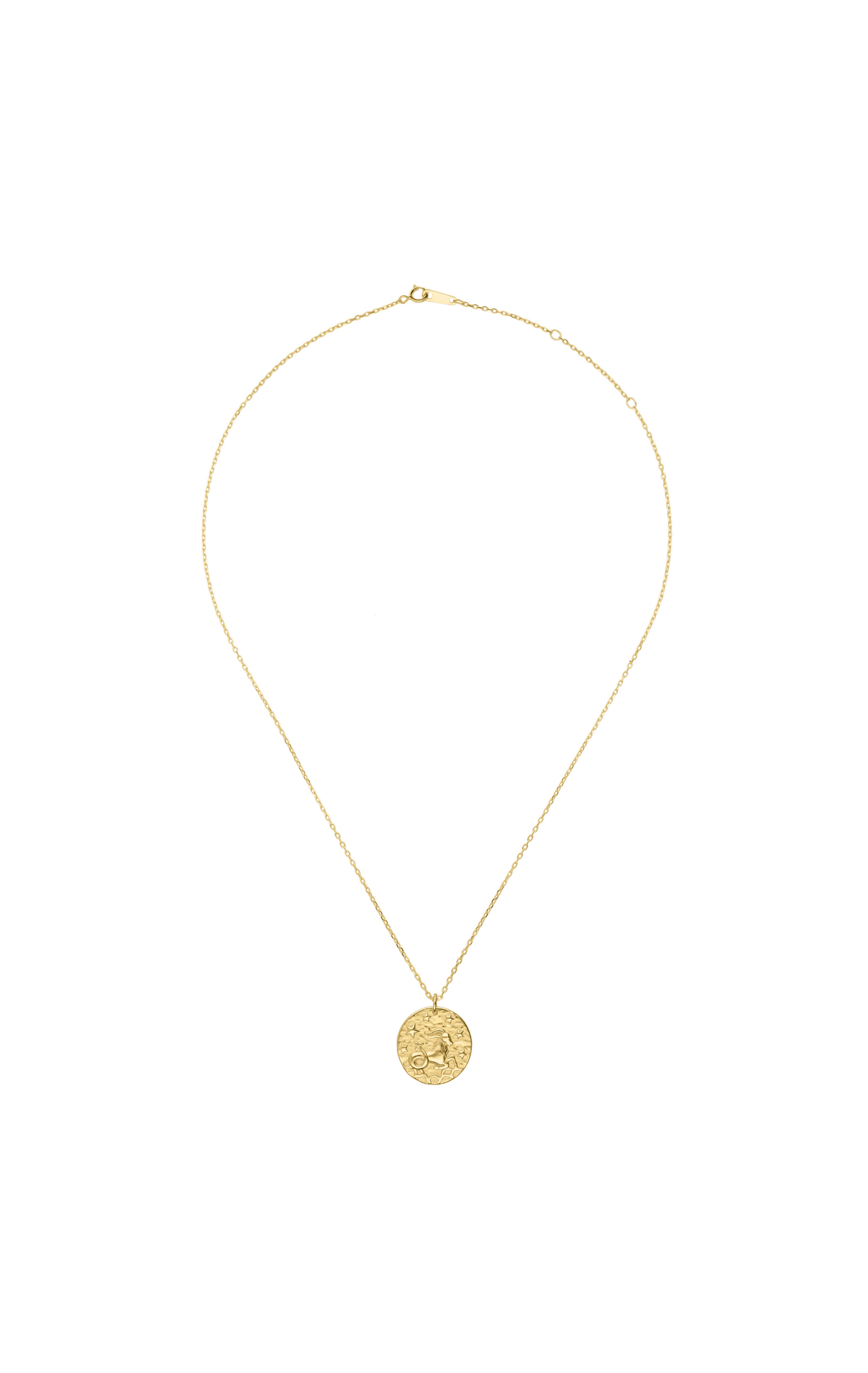 Necklace Mysign Capricorn Gold