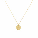 Mysign Aquarius Gold