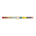 Moise Multicolore